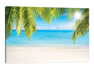 Sunny Beach With Palm Branches