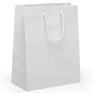 White Glossy Bags Colored - 6-1/4" X 8-1/2" - Gusset - 3 1/2" - Quantity: 100 Size: Jewel by Paper Mart