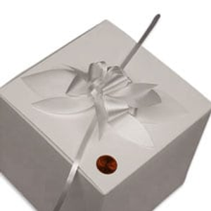 White Petal Polypropylene / Cellophane Pull Bow - Quantity: 100 - Poly Ribbons Width: 3" Length: 7" by Paper Mart