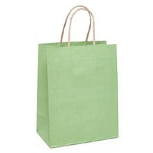 Sage Paper Gift Bags Colored Gusset - 4 3/4" - Quantity: 250 - Twist Handle Bags - Size: Cub Width: 8" Height/Depth: 10 1/4" by Paper Mart