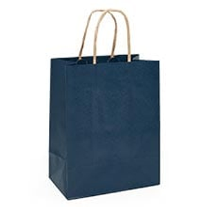 Navy Blue Pinstripe Kraft Paper Bags Colored - 8" X 10-1/4" - Gusset - 4 3/4" - Quantity: 25 - Twist Handle Bags by Paper Mart