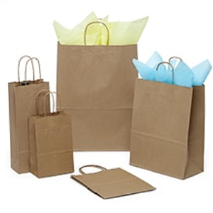 Kraft Handle Bags - 10" X 12" - Gusset - 7" - Quantity: 25 - Twist Handle Bags - Baseweight: 66 Lbs by Paper Mart