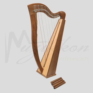 29 String McHugh Harp Square Back