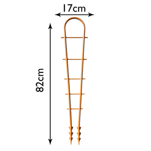Trellis Plant Supports - Trellises 82cm x 17cm, 10