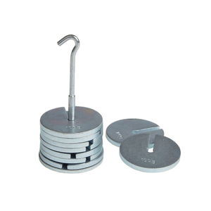 Hanging Slotted Masses: Steel (1KG) - 9 x 100g Masses and Hanger