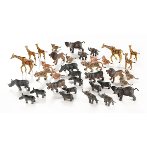Animals and their Young from Hope Education - Pack of 36