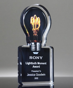 Light Bulb Moment Acrylic Award