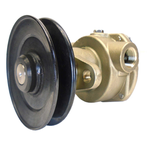 Sea Water Pump
