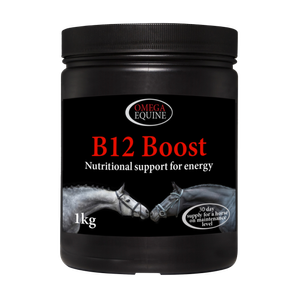 Omega B12 Boost