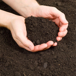 Top Soil 25kg