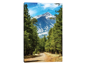 Flagstaff Arizona Road To Mountains