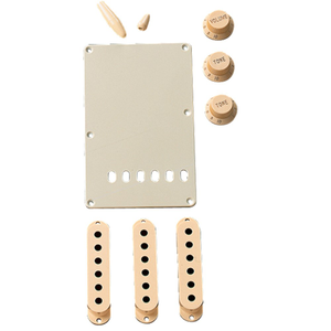 Fender Stratocaster Accessory Kit (Aged White)