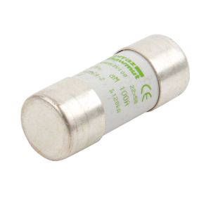 100A 22mmx58mm GM Motor Fuse