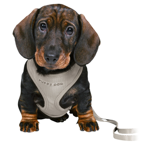 Trixie Junior Puppy Soft Harness with Lead Grey