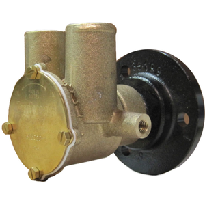 Bronze Raw Water Pump LT-1/LTR