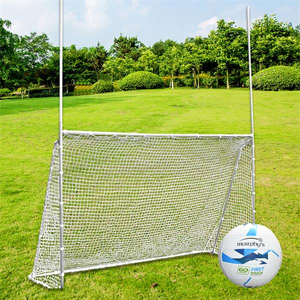 Precision Multi Sport Goalposts - Silver