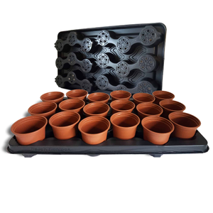 Plastic Plant Pots & Carry Trays - 9cm Round Terracotta, 14