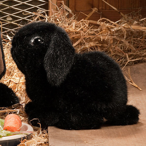 Young Dwarf Lop Rabbit by Kosen - 18cm, black