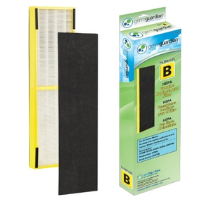FLT4825 Guardian Technologies GermGuardian FLT4825 Filter B