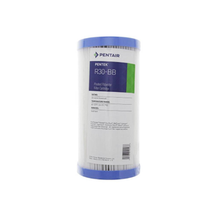 Pentek R30-BB Heavy Duty Water Filter - W30PEHD