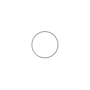 Pentek 151120 Filter O-Ring Replaces W34-OR