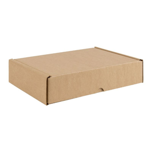 Kraft 1-Piece A5 Corrugated Postal Box
