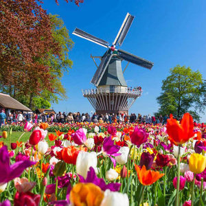 Keukenhof Tulips, Canals & Amsterdam in Springtime