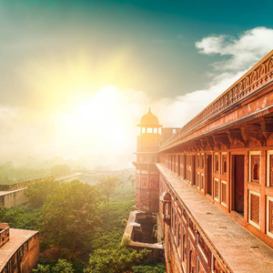 Discover India’s Golden Triangle & Tigers