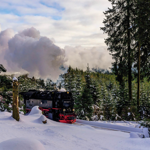 The Harz Mountains in Winter