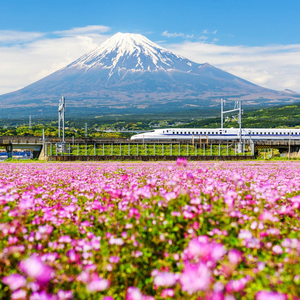 Jewels of Japan by Rail