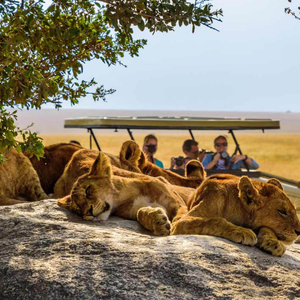Grand Safari Tour of Kenya