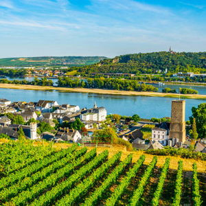 Jungfrau Express & the Majestic Rhine