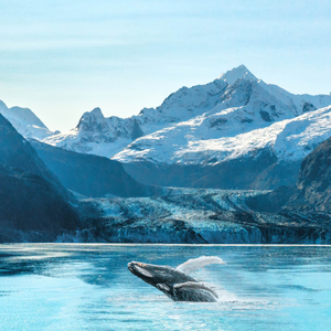 Rocky Mountaineer & Alaska Cruise