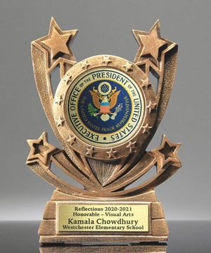 Twin Star Custom Insert Award