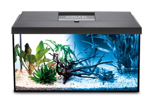 Aquael LEDDY Day and Night 60, 54 Litre Aquarium in Black