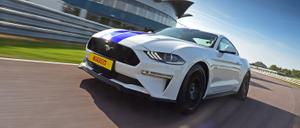 Ford Mustang Thrill