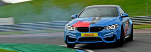 Tiff Needell Experience