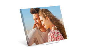 Desktop Acrylic Prints