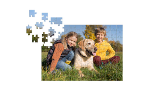 Kids Jigsaw Puzzle (112 or 266 Pieces)