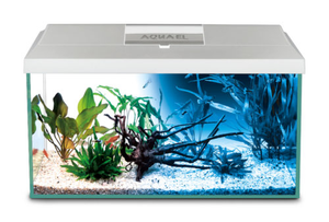 Aquael LEDDY Day and Night 60, 54 Litre Aquarium in White