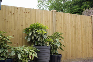 1.80m High 6ft  Featherboard Panel - 1.83m Wide 
