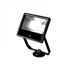 Collingwood FL03BXCS Flood Light Colour Selectable 30w