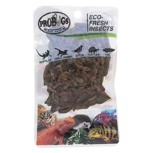 ProBugs Eco Fresh Black Soldier Fly Larvae 20g