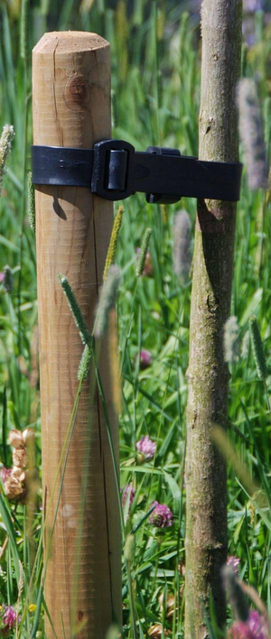 1.80m Long  60mm Dia Machine Rounded Tree Stake Pointed & Chamfered Jakcured