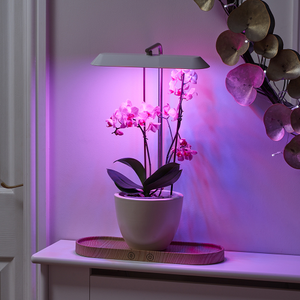 Auraglow LED Plant Grow Light – Hydroponic & Display Lamp