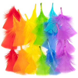 Regenboogkleuren knutsel veren 