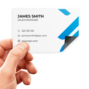 Magnetic business cards