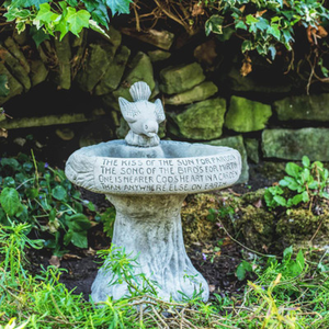 Garden Bird Bath 'Kiss of Sun' with Bird atop