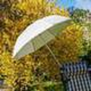 UV Garden Parasol (Pack of 2)