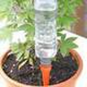 Automatic Watering Spikes (Set of 8)